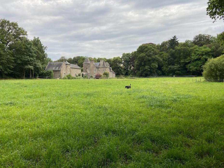 Chateau Ville Voisin Augan Bagian luar foto