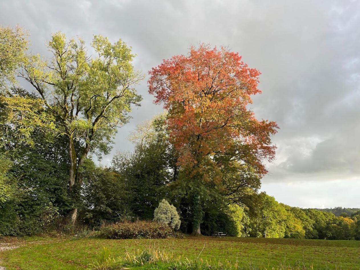 Chateau Ville Voisin Augan Bagian luar foto