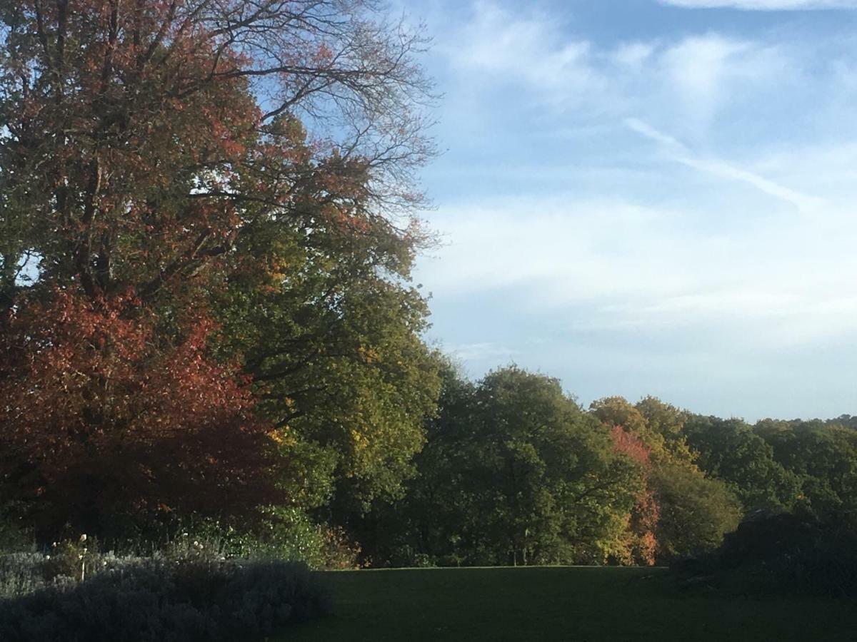 Chateau Ville Voisin Augan Bagian luar foto